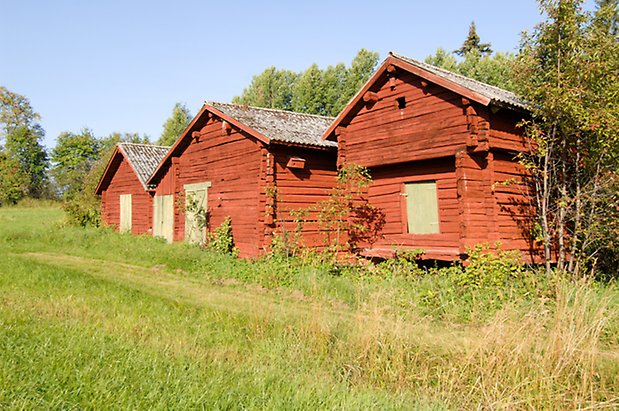 Trusta 2:5. Tre röda, timrade härbren med gröna luckor.