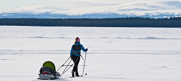 Bilden föreställer Medvinden på Storsjön och folk som åker skridskor och promenerar där.
