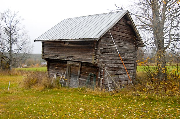 Gungård 3:3. Brunt, timrat härbre.