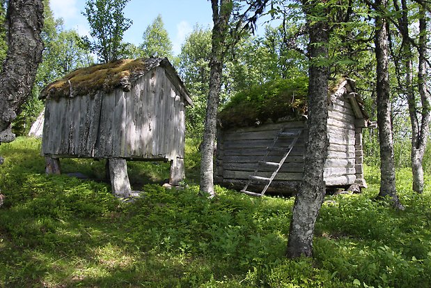 Grå förvaringsbod av brädor på fyra stolpar och grå timrad förvaringsbod på hörnstenar. Båda har  mossa/gräs på taket.