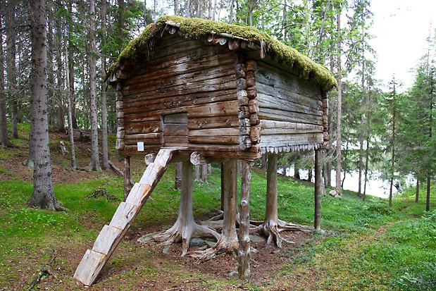 Grå, timrad förvaringsbod stående i luften på trästammar, mossa/gräs på taket.