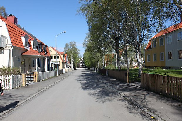 Laken, Rödingen, Forellen och Öringen