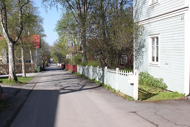 Majsen, Flädern och Klövern