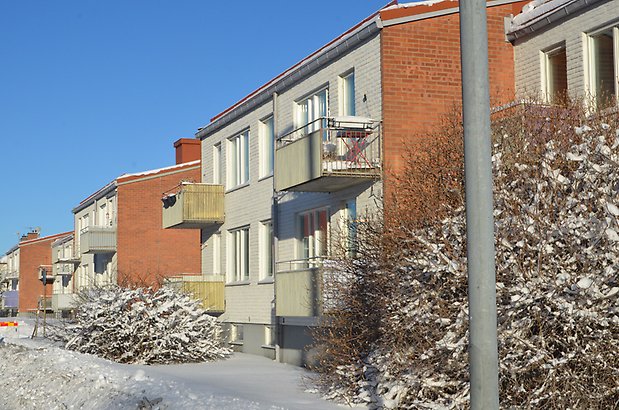 Knäroten Korallroten B