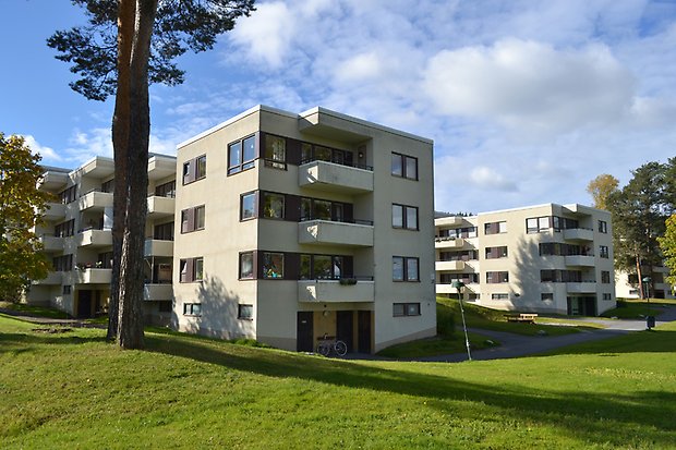 Doktorn och Förvaltaren A