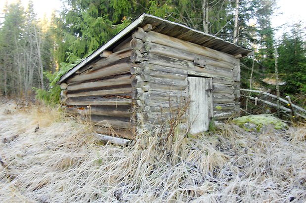 Lockne-Berge 1:2. Grå, timrad byggnad med lucka och sluttande tak, i ett skogsbryn.