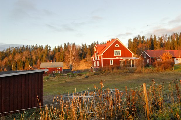 Börön 8:2. Villa i röd panel med vita detaljer, inglasad veranda.