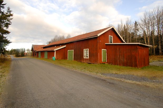 Lockne-Änge 2:9. Ladugård i röd panel i två våningar, med gröna portar och dubbelportar, fönster med gröna spröjs.