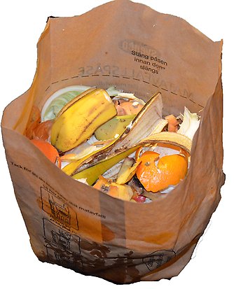 Skal av bananer, apelsiner och lök i en papperspåse för matavfall