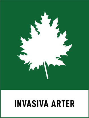 Symbol för invasiva arter