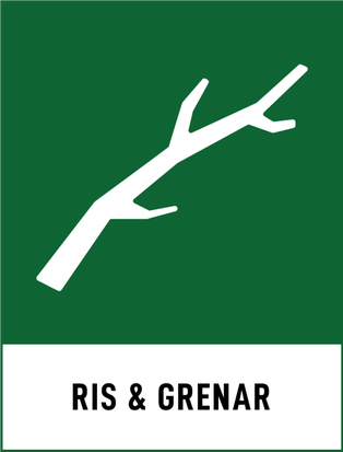 Symbol för ris och grenar