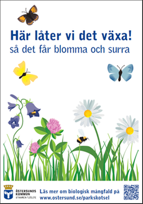 En bild på en skylt med texten "Här låter vi det växa! så det får blomma och surra", samt en illustration av blommor, fjärilar och humlor.