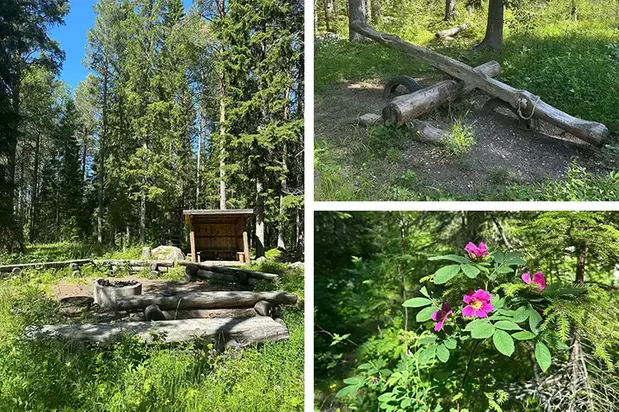 Kollage med naturbilder