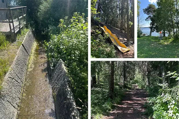 Kollage med naturbilder