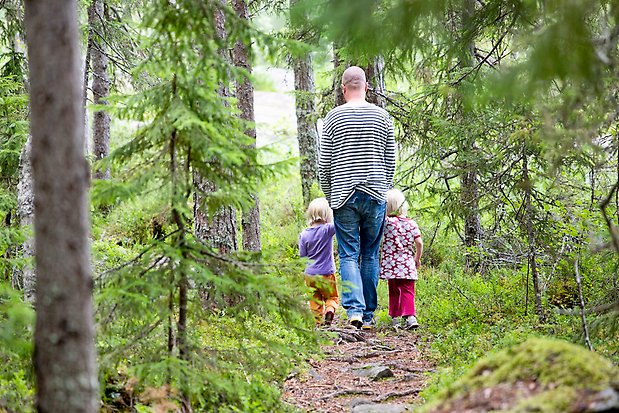 Bilden visar en man och två barn gåendes utmed en stig i skogen